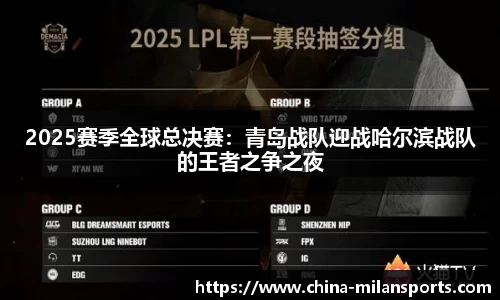 2025赛季全球总决赛：青岛战队迎战哈尔滨战队的王者之争之夜